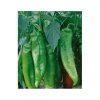 67317 paprika zelena komtesa f1 capsicum annuum l