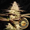 T.H. Seeds 710 Limited Pack Califunk, feminized (Balení 6 ks)