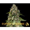 Super Strains, Enemy of the State, feminized (Balení 10 ks)