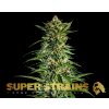 Super Strains, 7th Wave, feminized (Balení 10 ks)