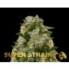 Super Strains, Ibiza Farmers, feminized (Balení 3 ks)