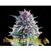 69264 super strains purple punch feminized