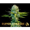 Super Strains, Next of Kin, feminized (Balení 5 ks)