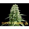 69318 super strains amnesia feminized