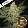 T.H. Seeds 710 Limited Pack Hazanana, feminized (Balení 2 ks)