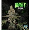 T.H. Seeds Beasty Gemelo, feminized, special pack (Balení 6+1 ks)