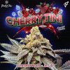 70662 perfect tree seeds cherrytini s1 feminized