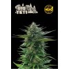 Seedstockers Big Yeti, feminized outdoor, (Balení 3 ks)