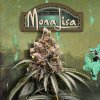 T.H. Seeds Mona Lisa, feminized, special pack (Balení 6+1 ks)
