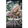 Dutch Passion GMO Fast, feminized (Balení 10 ks)