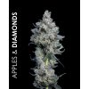 Maven Genetics, Apples and Diamonds, regular (Balení 12 ks)