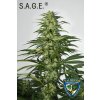 T.H. Seeds La S.A.G.E., feminized (Balení 2 ks)