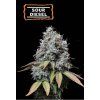 74913 seedstockers sour diesel feminized