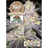75111 fair seeds cali weed wedding cake auto feminized autoflowering