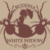 75183 buddha seeds buddha s classics white widow feminized