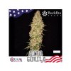 75195 buddha seeds gorilla auto autoflowering feminized