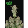 75339 fast buds bruce banner auto
