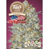 75378 fair seeds auto gelato feminized autoflowering