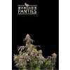 75726 seedstockers x humboldt mandarin panties feminized