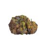 Royal Queen Seeds Green Gelato, feminized (Balení 10 ks)