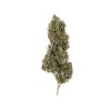 Royal Queen Seeds Painkiller XL Medical, feminized (Balení 10 ks)