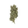 Royal Queen Seeds Royal Gorilla, feminized (Balení 10 ks)