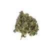 Royal Queen Seeds Royal Highness, CBD feminized (Balení 10 ks)