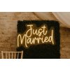 just married