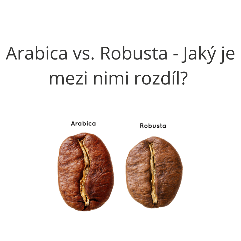 Arabica vs. Robusta – Jaký je mezi nimi rozdíl? Srovnání chutí, obsahu kofeinu a vlastností obou druhů