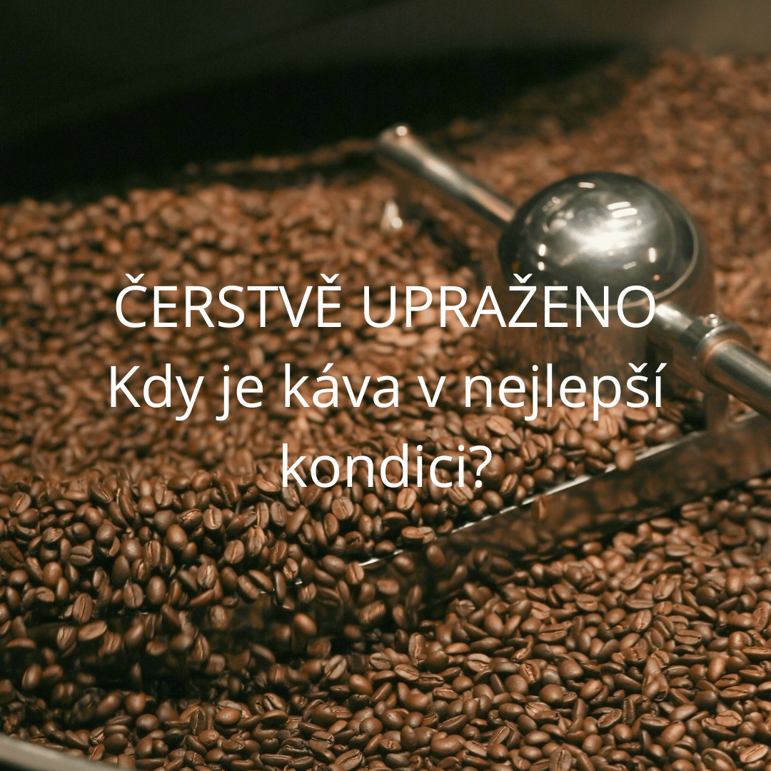 Čerstvě upraženo – kdy je káva v nejlepší kondici?