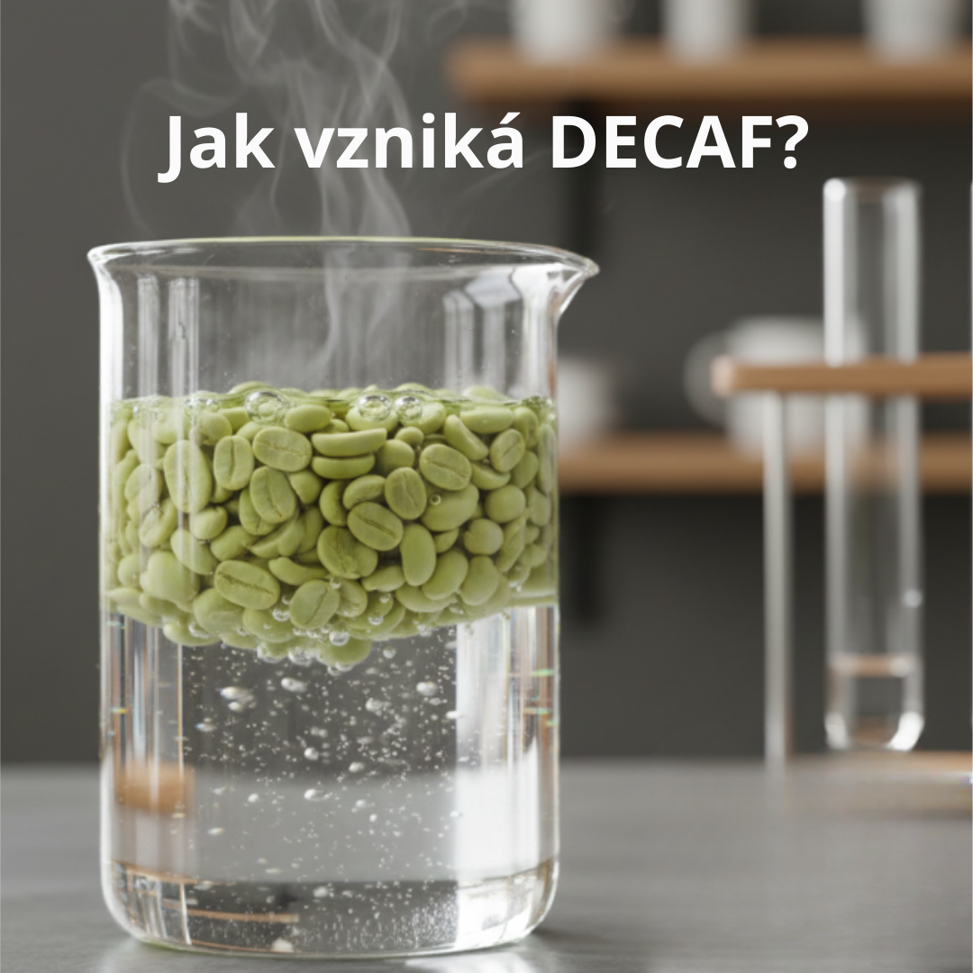 Swiss Water: Jak vzniká nejčistší bezkofeinová káva bez kapky chemie?