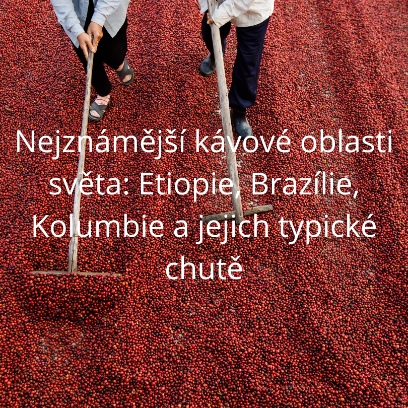 Nejznámější kávové oblasti světa: Etiopie, Brazílie, Kolumbie a jejich typické chutě