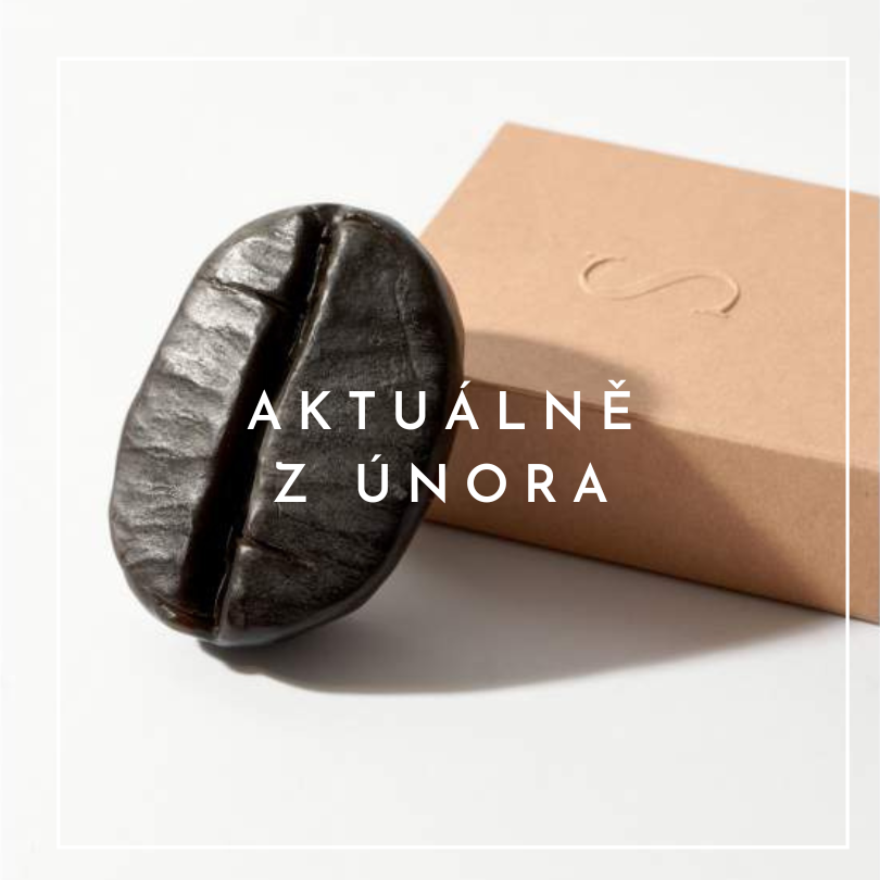 Aktuálně z února - Další radosti