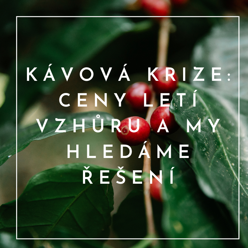 Kávová krize: Ceny letí vzhůru a my hledáme řešení