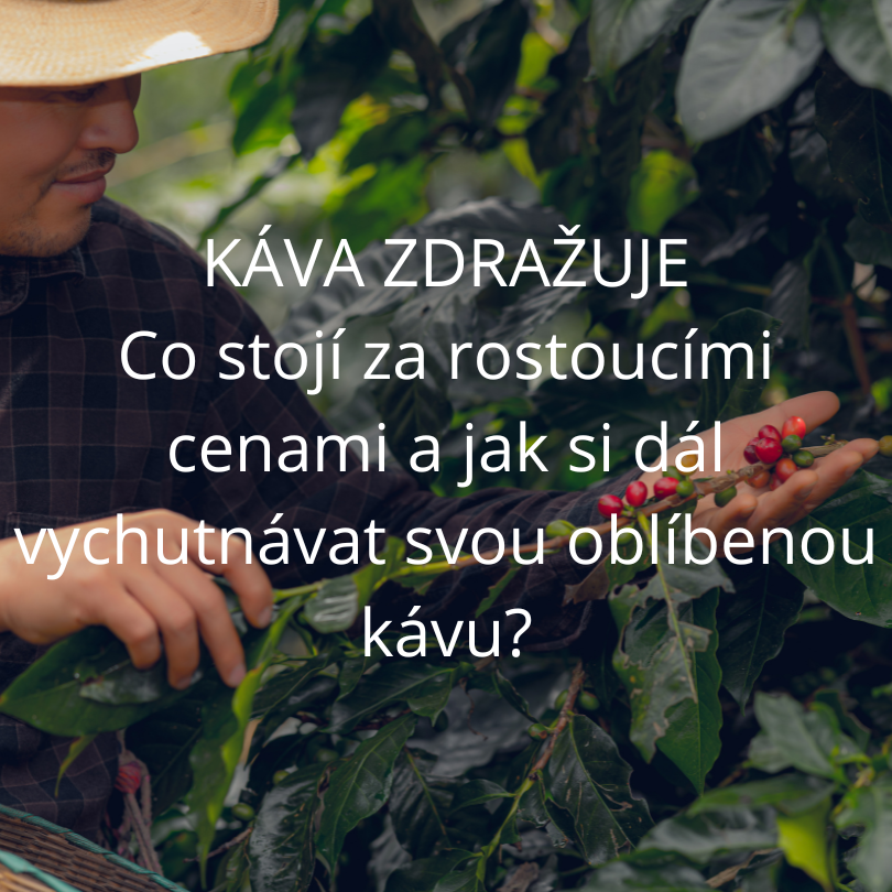 Káva zdražuje: Co stojí za rostoucími cenami a jak si dál vychutnávat svou oblíbenou kávu?