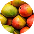 Mango K