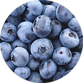 Blueberry Organic