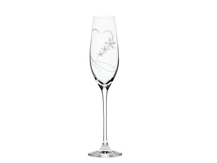 fl champagne 210ml 100