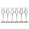 grappa HUNTER set