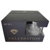 vyrp13 1212Celebration iceberg hory new box2
