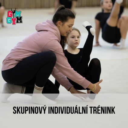 SKUPINOVÝ INDIVIDUÁLNÍ TRÉNINK 2