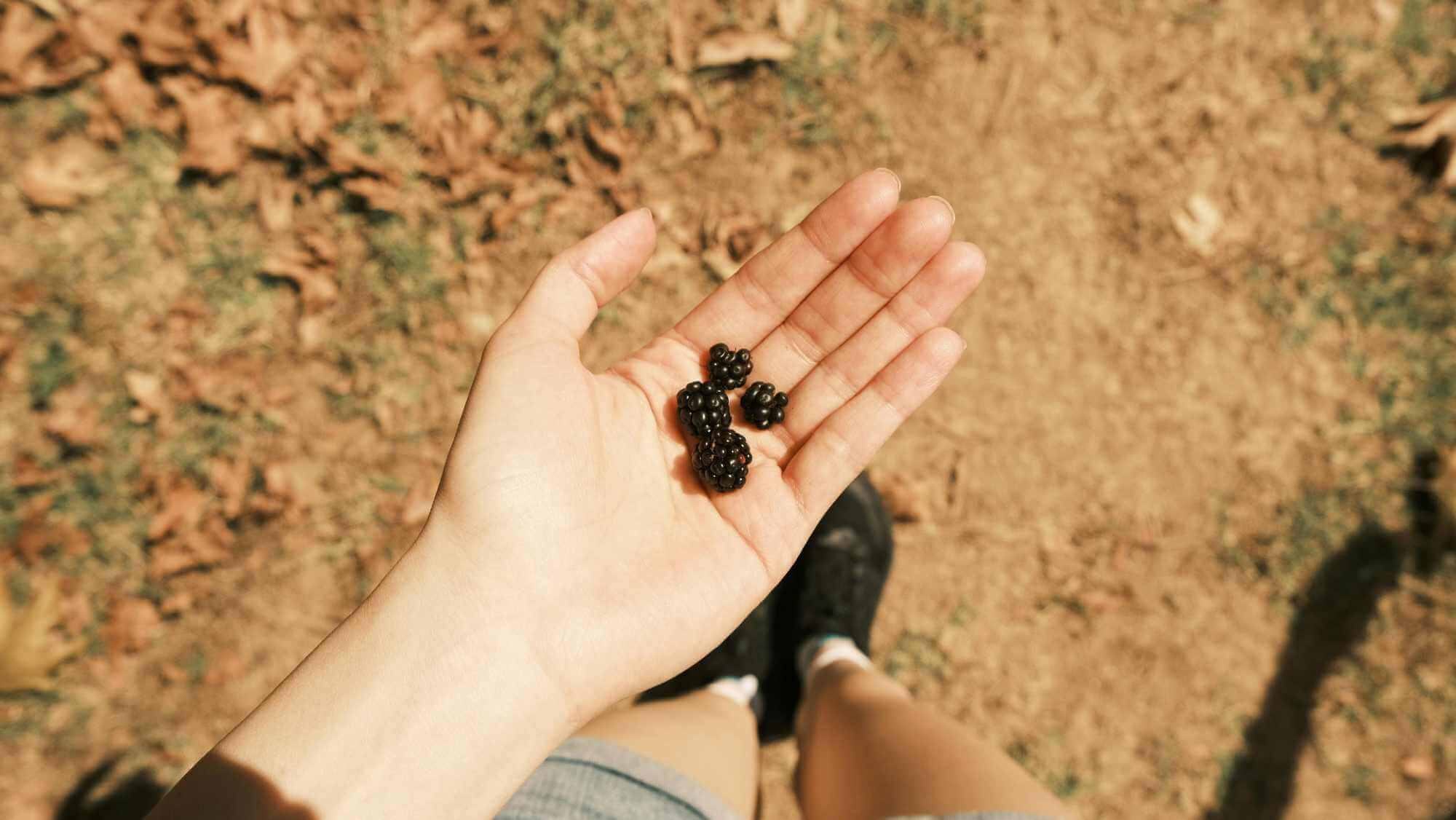 Naučte se odhadnout správnou velikost porce