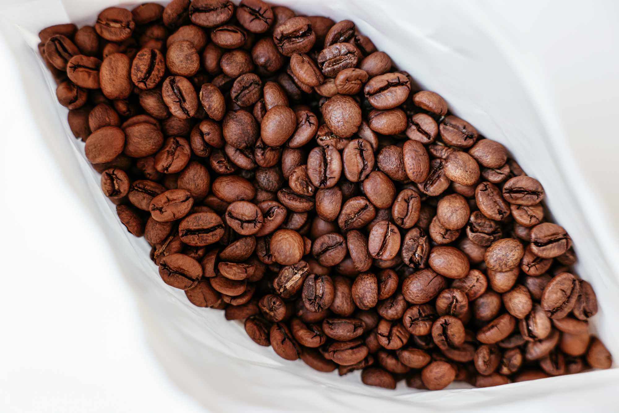Jak si vybrat kávová zrna, která chutnají lahodně?