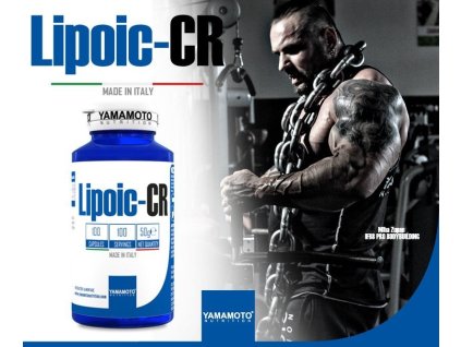 lipoic cr kyselina alfa lipoova ala chrom yamamoto full item 13167