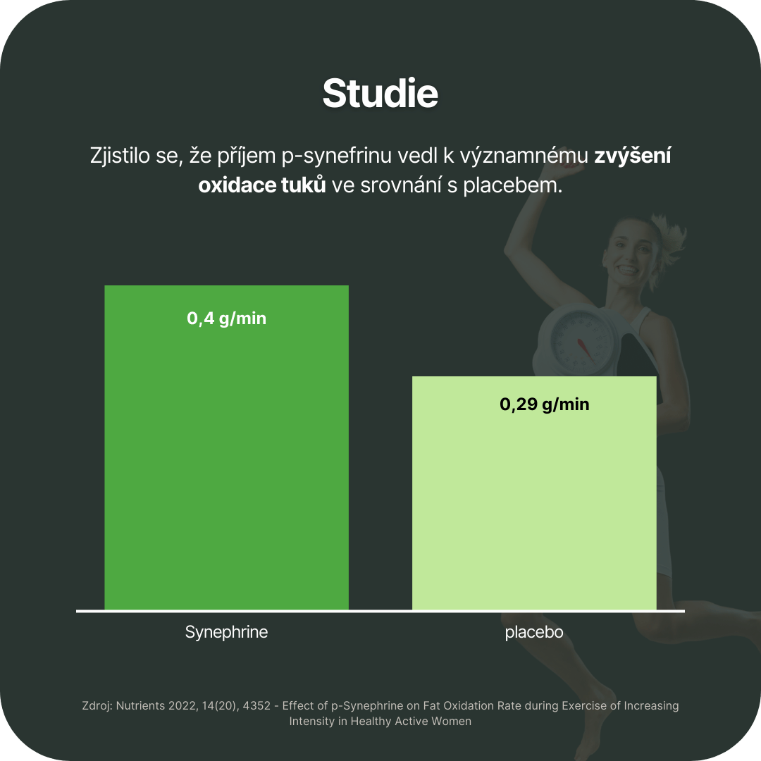 infografika