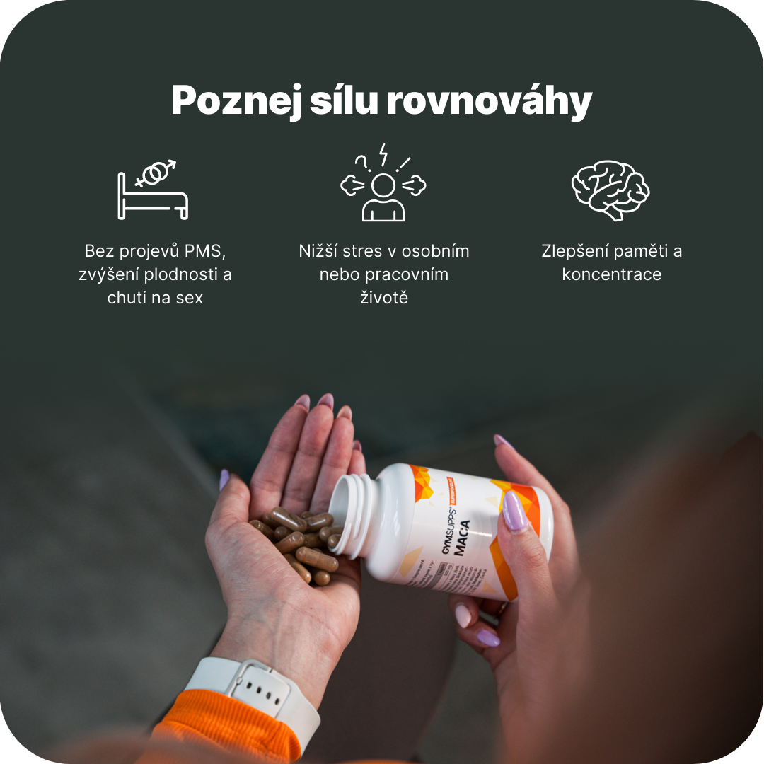 Maca Infografika