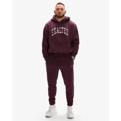 EXLTD M COMFYNEST ICON HOODIE PLUMDUST 2