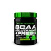 Scitec Nutrition BCAA + Glutamine Xpress 300 g (Příchuť žvýkačka)