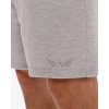 Exalted California Core Šortky - šedá (Velikost L)