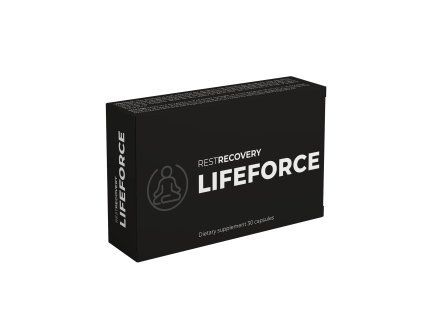 Box RESTRECOVERY Mockup 1